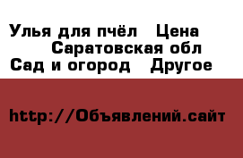 Улья для пчёл › Цена ­ 700 - Саратовская обл. Сад и огород » Другое   